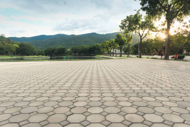 Best Driveway Paving Company  in Woodbranch, TX